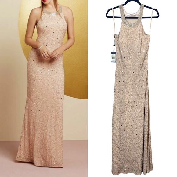 ADRIANNA PAPELL DRESS 10P GOWN TAUPE PINK SEQUIN BEADED LONG FORMAL MAXI EVENING - Picture 1 of 15